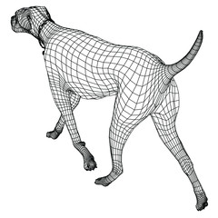 Walking dog polygonal lines illustration. Abstract vector dog on the white background