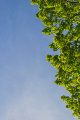 Himmel