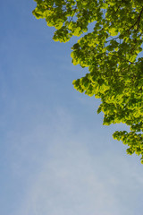 Fototapeta premium Himmel