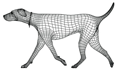 Walking dog polygonal lines illustration. Abstract vector dog on the white background