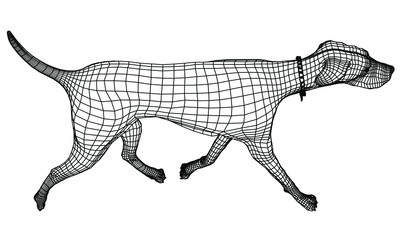 Walking dog polygonal lines illustration. Abstract vector dog on the white background