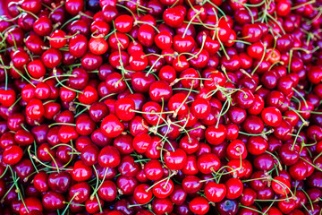 red cherry background
