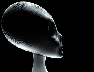 3d model of an alien. 3D rendering.