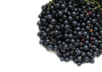 Black fresh currant on a white background. Flat lay. Top view of fresh berries from the home garden