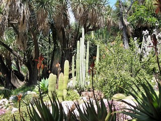 Giardini Botanici Hanbury