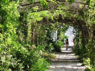 Giardini Botanici Hanbury