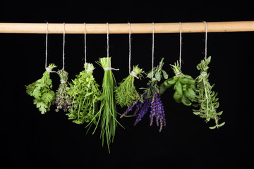Fresh herbs hanging in front of a rustic background. Basil, flower sage, thyme, oregano, dill,...