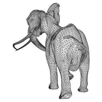 Elephant polygonal lines illustration. Abstract vector elephant on the white background