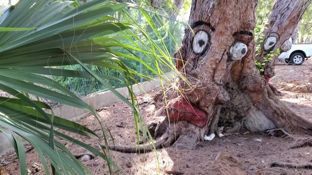 The trees have eyes and watching you in scary scene or abstract visualization of culture 