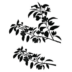 Vector silhouette of the branches of Apple or cherry trees with flowers, black color, isolated on white background