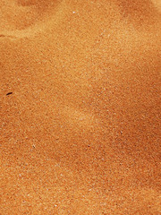 Texture of fine golden coastal sand. Lines in the sand of a beach. Abstract structure.