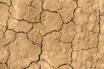 Fototapeta premium Dry cracked earth texture