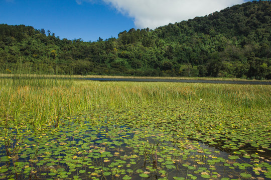 lake in the mountains