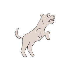 Design of happy dog illustration