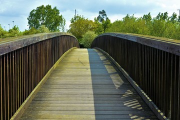 Obraz premium Spring bridge