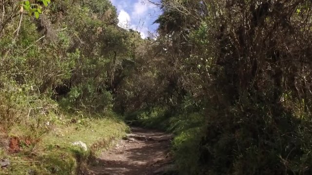 POV hiking on inca trail. Cusco, Peru