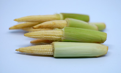 Baby corn on white background.