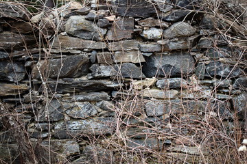 An old stone wall found in the forest in Ontario, Canada. Remains of an old barn from the 1800's when people first began to farm and cultivate the land in this area.