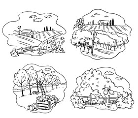 Set of farming icons, apple, cattle farm and vineyard vector illustration