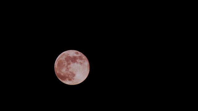 Blutmond am Himmel. R&ouml;tlich-oranger Mond am Himmel.