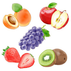 fruit_watercolor