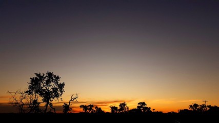Obraz na płótnie Canvas silhouette of a girl on a sunset