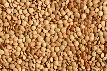 Dry organic green lentils. Food background. Macro.