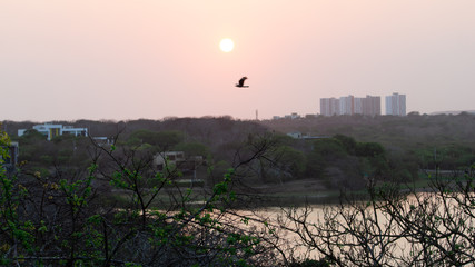 sunset over the city