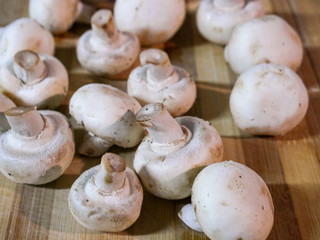 Delicious mushrooms for vegan cuisine