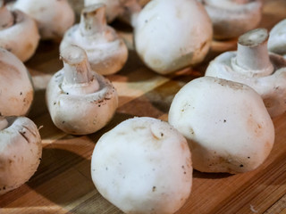 Mushrooms for cooking vegan food