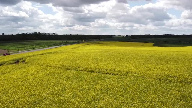Flug &uuml;ber Rapsfel Strasse entlang