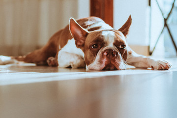 Lila haciendo pereza