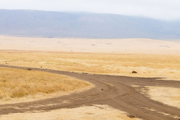 Fototapeta na wymiar Dirt road on Ngorongoro crater, Tanzania landscape