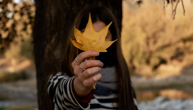 Foto de oto&ntilde;o, con barbijo puesto