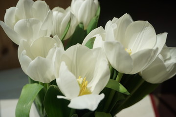 Weißer Tulpenstrauß