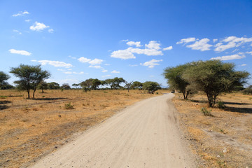 Tarangire National Park landscape, Tanzania, Africa