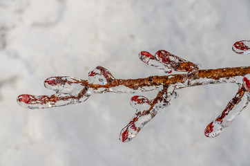 Freezing rain