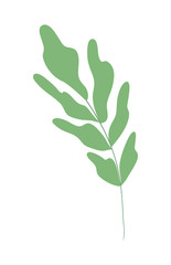 Isolated natural leaf vector design