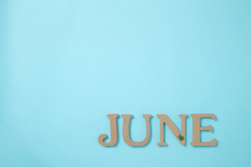 水色の背景に置かれた「JUNE」のアルファベットブロックとミニチュアのカエル