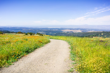 Hiking trail in Santa Cruz mountains lined up with tall grass and blooming wildflowers; the San Francisco Bay Shoreline and Silicon Valley visible in the valley; California