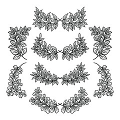 Set of hand drawn botanical leaves, laurels, bracket, branches, and ferns for wedding decoration, plant logo, frame, or invitation
