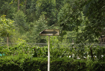 Direction signal, surrounded by nature
