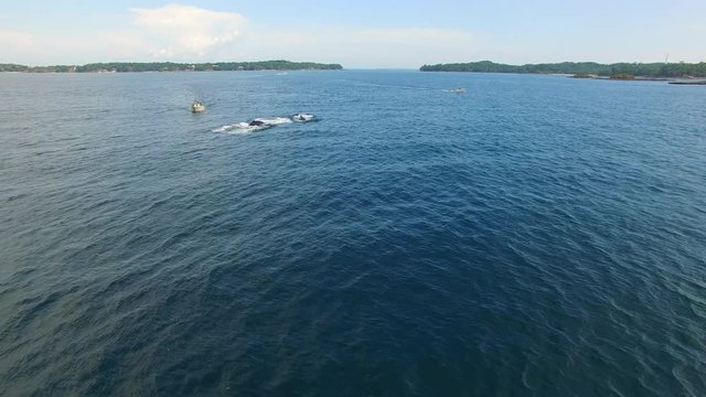Humpback Whale Watching off Isla Conadora, Las Perlas Panama Aerial View