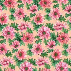 Watercolor pink chrysanthemum flowers green leaves seamless pattern texture background
