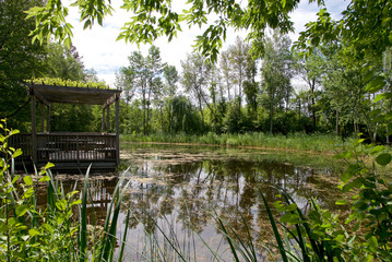 Fototapeta na wymiar Landscape - scenery of pond with a wooden viewing platform