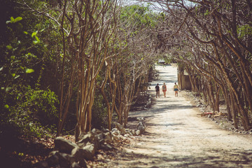 Main entrance of Cenote "Jardin Del Eden" is a favorite of the inhabitants of the Riviera Maya, Mexico
A cenote is a natural pit, or sinkhole