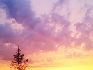Fototapeta na wymiar Low Angle View Of Silhouette Tree Against Sky