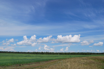 Obraz premium On the banks of the Irtysh River
