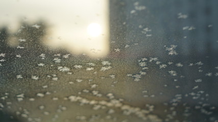 This is the frost on the car's.