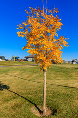 Peter H. Currie Park